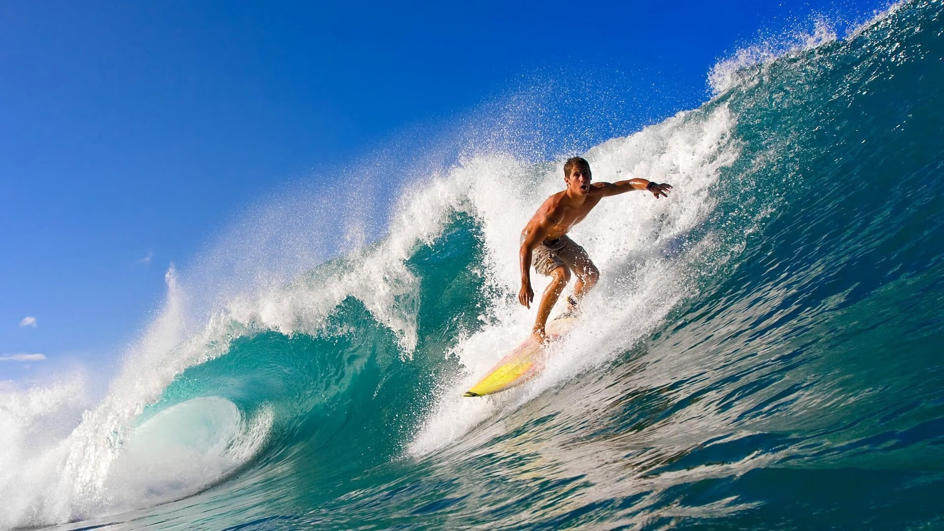 火爆现场：球迷欢呼不断，气氛火热！，球迷欢呼视频